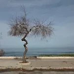 Emma's House * Чефалу