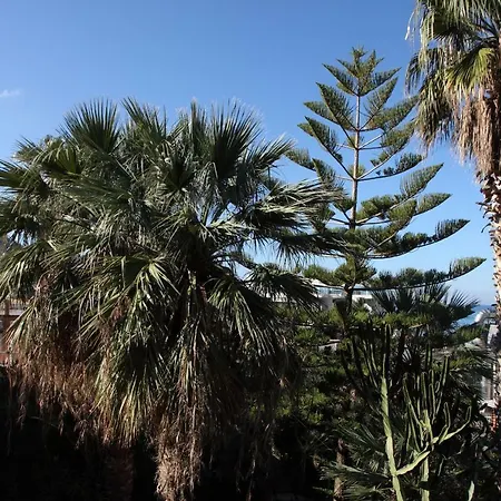 Emma's House * 切法卢